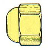 BRASS 45 DEGREE FLARE CAP 1/4(11495)